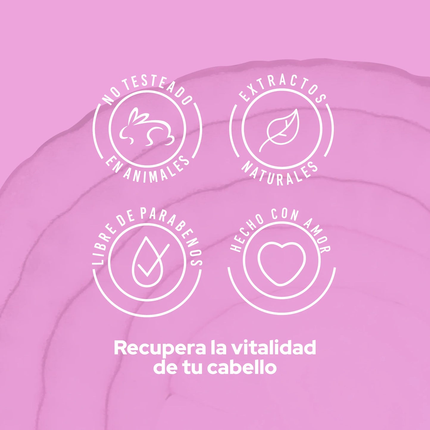 ACONDICIONADOR CEBOLLA