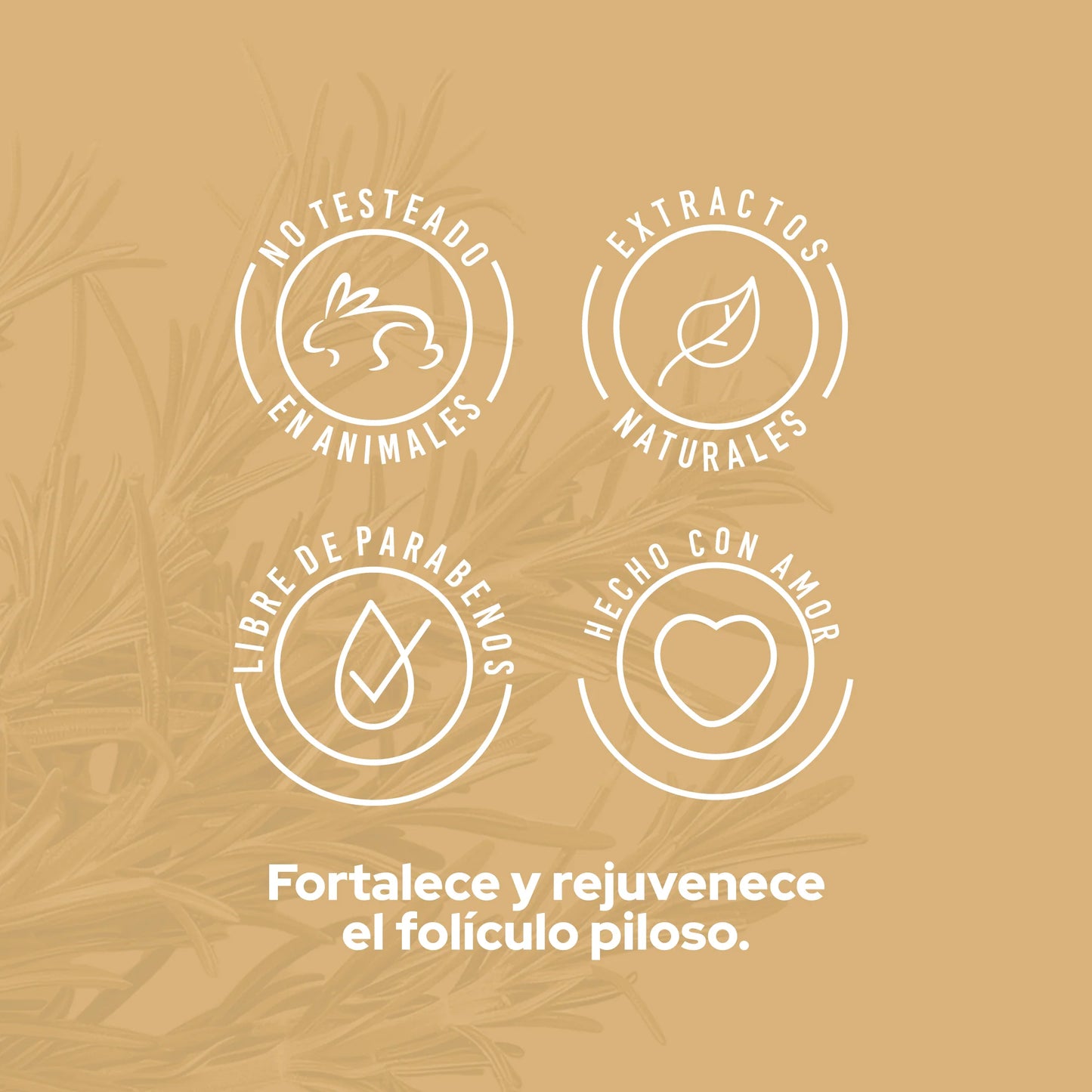 POTENCIALIZADOR ROMERO