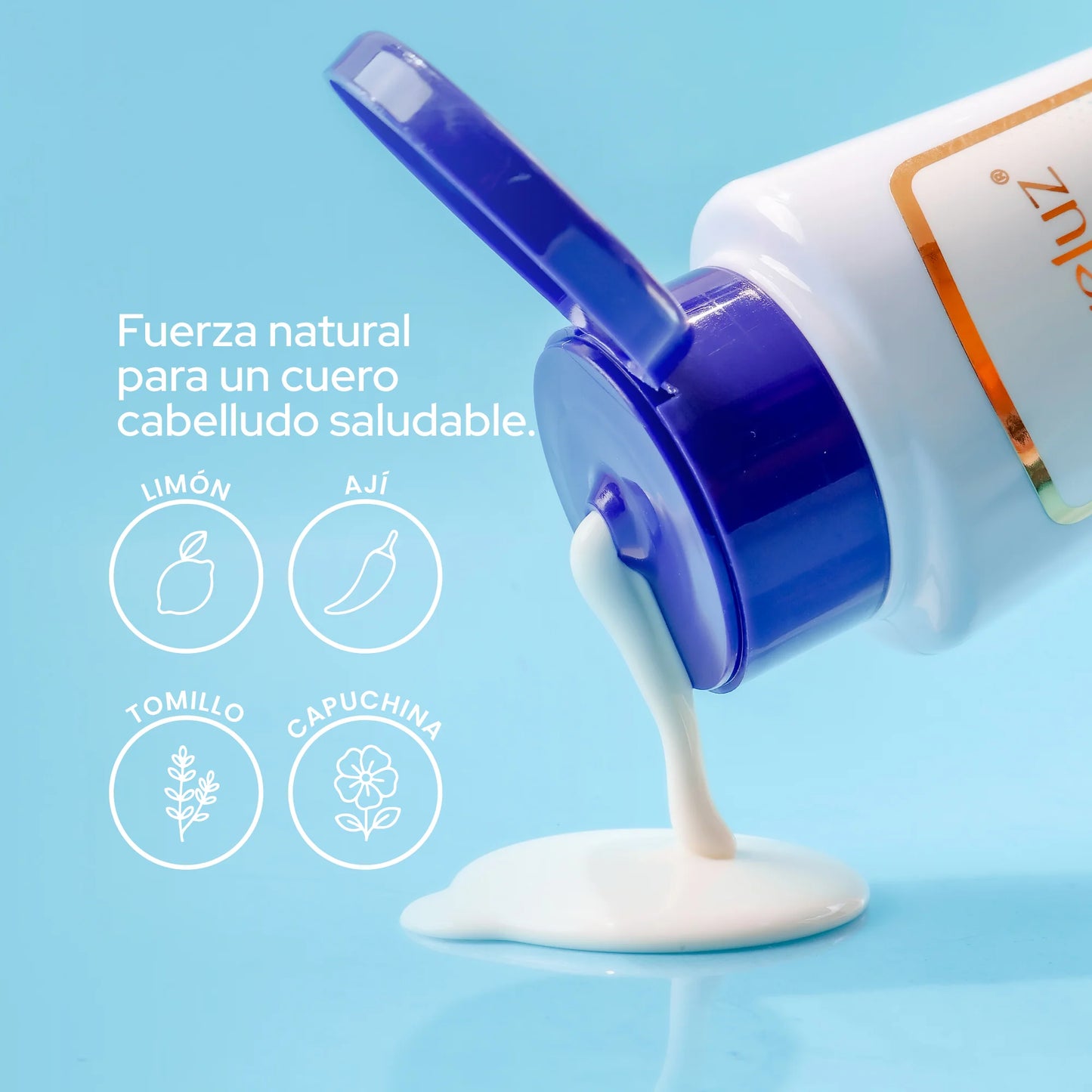 SHAMPOO ANTICASPA