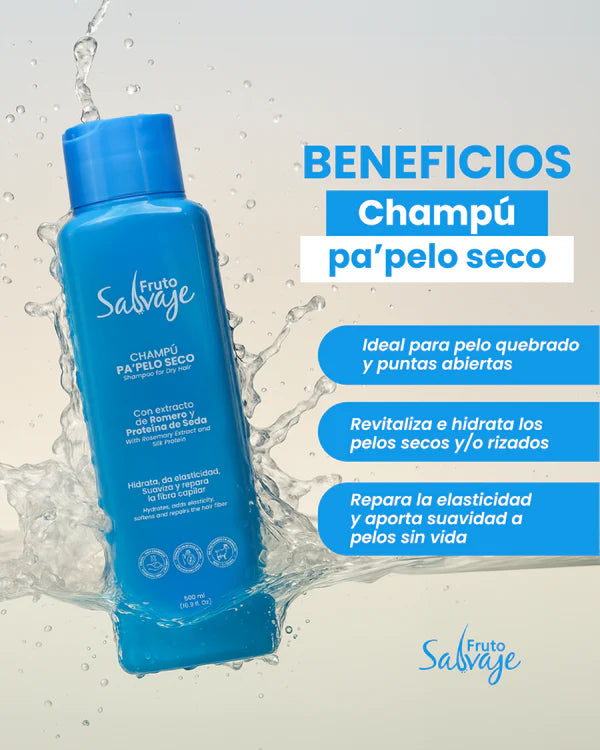 CHAMPÚ PA´PELO SECO
