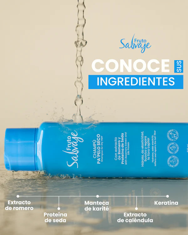 CHAMPÚ PA´PELO SECO