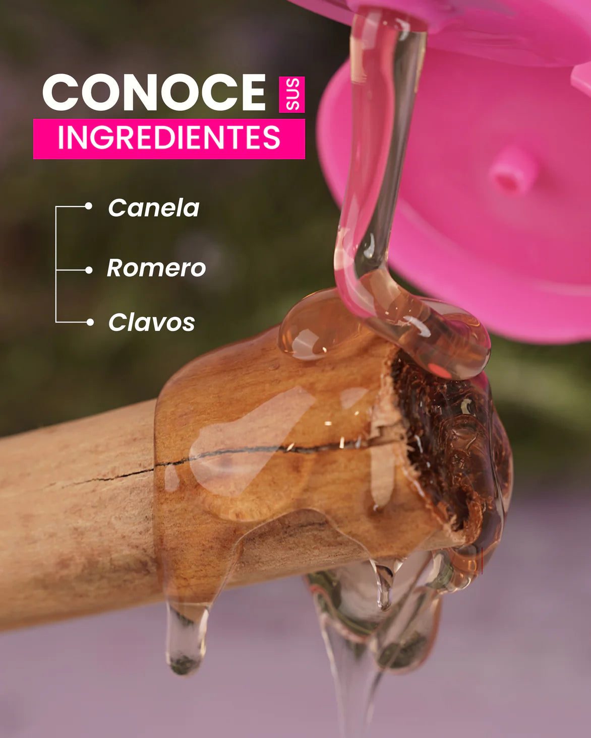 CHAMPÚ CANELA ROMERO Y CLAVOS