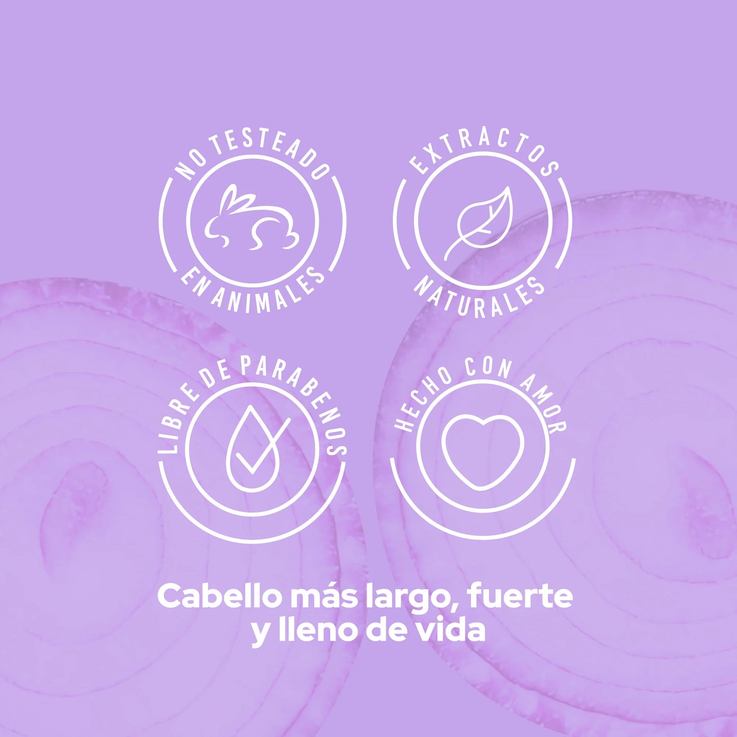 SHAMPOO CEBOLLA