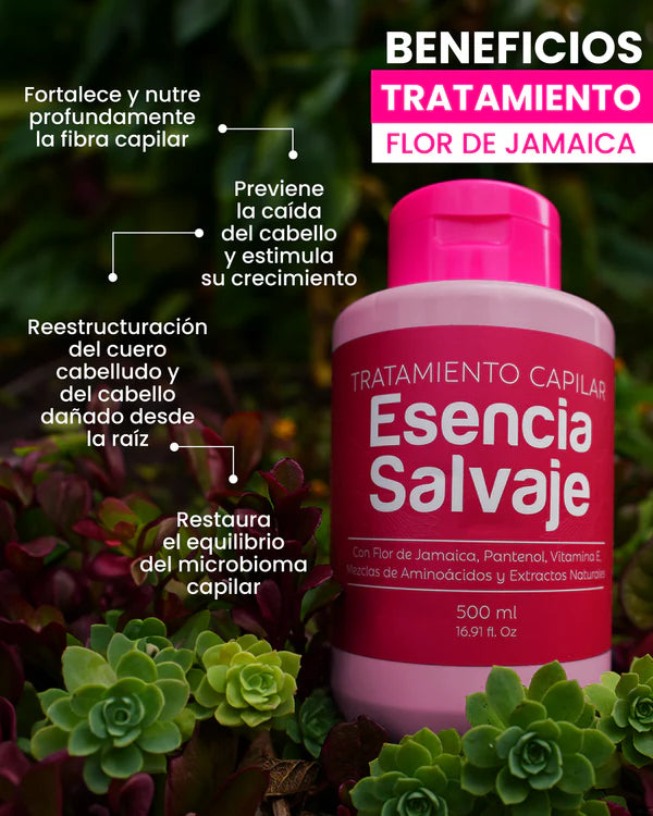 TRATAMIENTO FLOR DE JAMAICA