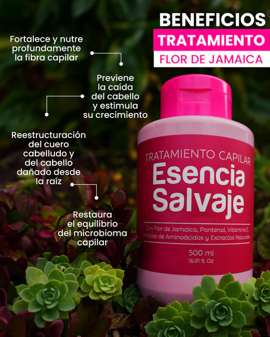 TRATAMIENTO FLOR DE JAMAICA